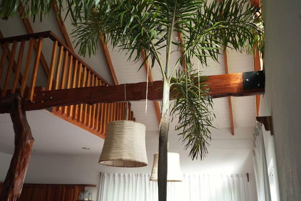 Casa Moes Villa Cahuita Luaran gambar